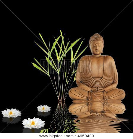 Zen Buddha fred