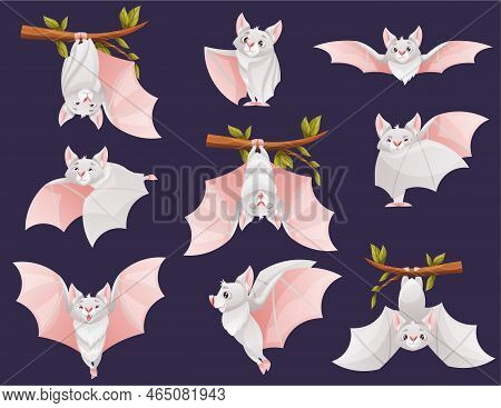Funny Grey Bat With Cute Snout Hanging Upside Down On Tree Branch And Flying Vector Set