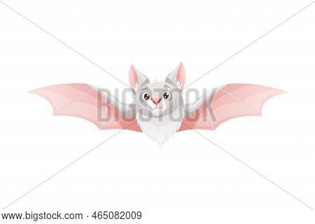 Funny Grey Bat With Cute Snout And Pointed Ears Flying With Spread Wing Vector Illustration
