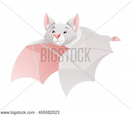 Funny Grey Bat With Cute Snout And Pointed Ears Flying With Spread Wing Vector Illustration
