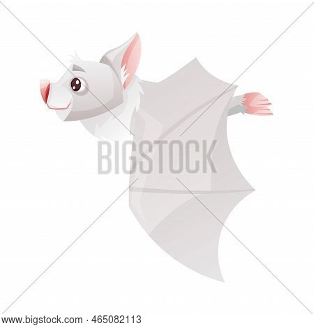 Funny Grey Bat With Cute Snout And Pointed Ears Flying With Spread Wing Vector Illustration