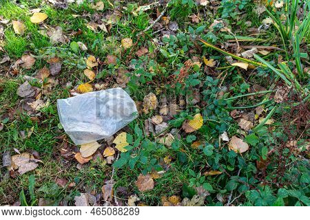 Sad Scene Of A Plastic Bag Lying On The Ground In The Eijsder Beemden Nature Reserve, Sunny Autumn D