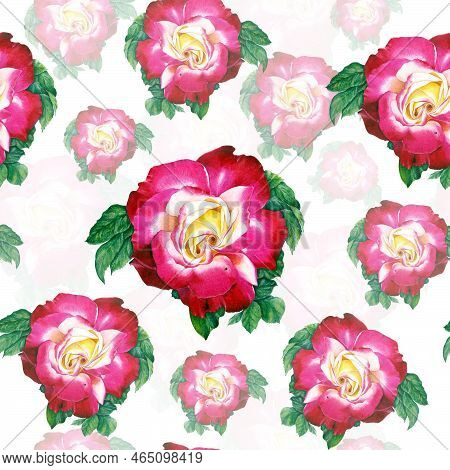 Rose Realistic Watercolor Illustration Pattern. Botanical Art. Pink Flower. Painting For Wedding Inv
