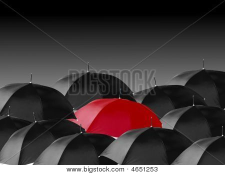 Umbrella During Rainy Days