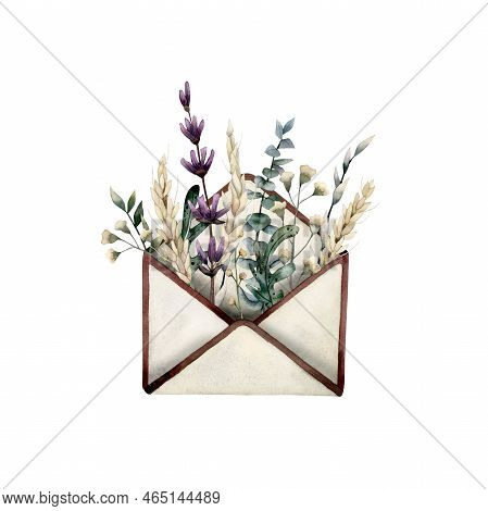 Watercolor Hand Drawn Illustration, Composition With Open Vintage Envelope With Dried Flowers And He