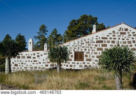 Mogan, May 29, 2018: Forest House Of Ojeda And Young Trees Of Canary Islands Dragon Tree Dracaena Dr