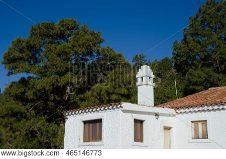 Mogan, May 29, 2018: Forest House Of Ojeda And Forest Of Canary Island Pine Pinus Canariensis. Reser
