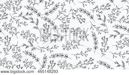 Elegant Seamless Pattern With Plants And Herbs. Leaves Seamless Pattern. Botanical Seamless Pattern.
