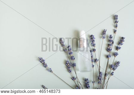 Cosmetic Bottle With Pipette On Wooden Slice  Top View, Flat Lay On Colored Background With Lavender