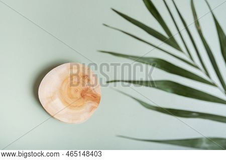 Wooden Slice As Podium Or Pedrstal Top View, Flat Lay On Colored Background With Palm Leave Decorati