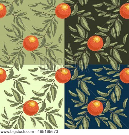 Set Of Seamless Pattern With Oranges Branch. Fruit