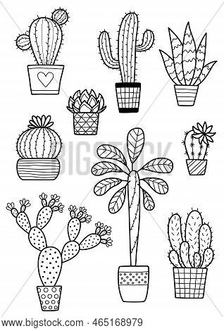 Vector Doodle Cactus Coloring Book Page. Anti-stress For Adults. Cute Black And White Cacti And Succ