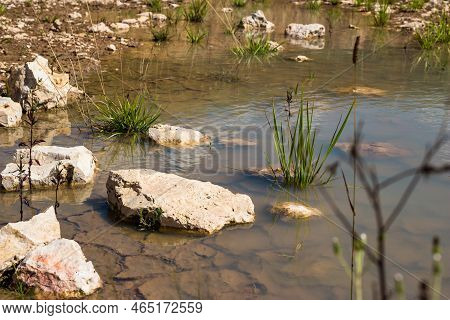 Pieces Of White Marble-like Limestone In Water At The Site Of A Limestone Quarry