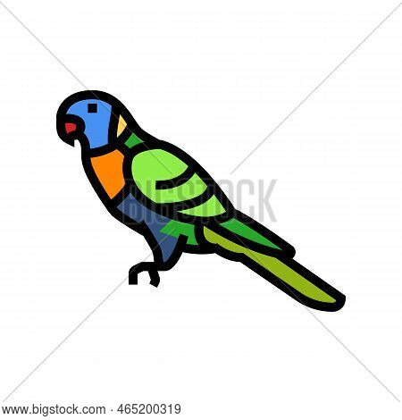 Rainbow Lorikeet Bird Exotic Color Icon Vector. Rainbow Lorikeet Bird Exotic Sign. Isolated Symbol I