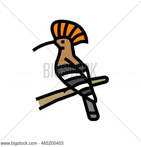 Hoopoe Bird Exotic Color Icon Vector. Hoopoe Bird Exotic Sign. Isolated Symbol Illustration