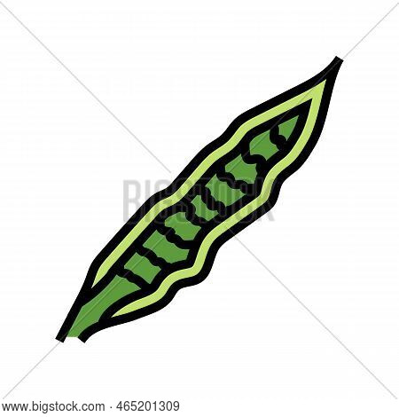 Sansevieria Tropical Leaf Color Icon Vector. Sansevieria Tropical Leaf Sign. Isolated Symbol Illustr