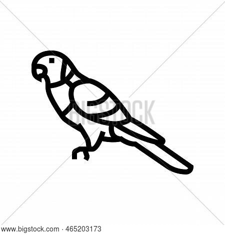 Rainbow Lorikeet Bird Exotic Line Icon Vector. Rainbow Lorikeet Bird Exotic Sign. Isolated Contour S