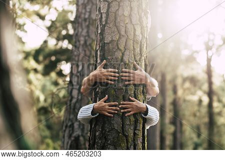 Environment People Save The Planet And Stop Deforestation Concept With Hidden Couple Of Senior Huggi