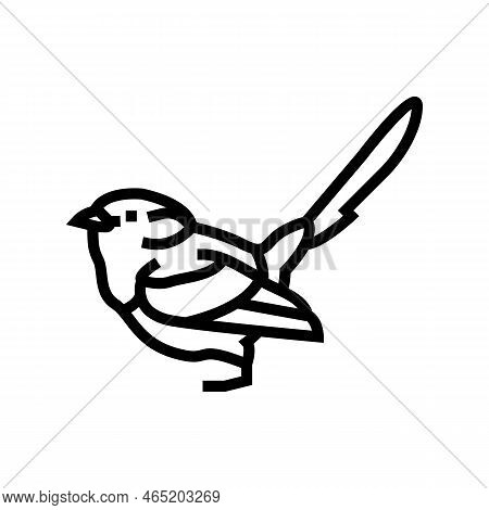 Splendid Fairywren Bird Exotic Line Icon Vector. Splendid Fairywren Bird Exotic Sign. Isolated Conto