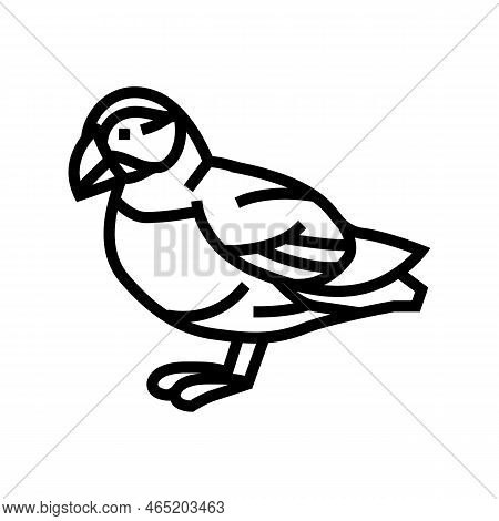 Atlantic Puffin Bird Exotic Line Icon Vector. Atlantic Puffin Bird Exotic Sign. Isolated Contour Sym