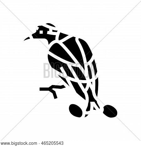 Wilsons Bird Of Paradise Bird Exotic Glyph Icon Vector. Wilsons Bird Of Paradise Bird Exotic Sign. I