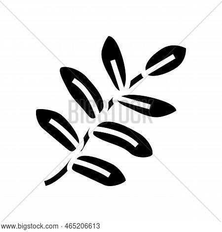 Royal Fern Tropical Leaf Glyph Icon Vector. Royal Fern Tropical Leaf Sign. Isolated Symbol Illustrat