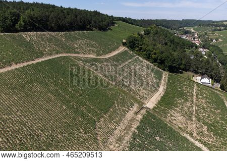 Aerial View On Chablis Grand Cru Appellation Vineyards With Grapes Growing On Limestone And Marl Soi