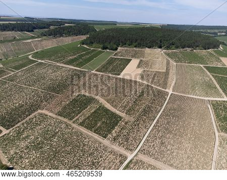 Aerial View On Chablis Grand Cru Appellation Vineyards With Grapes Growing On Limestone And Marl Soi