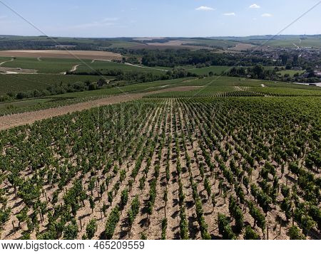 Aerial View On Chablis Grand Cru Appellation Vineyards With Grapes Growing On Limestone And Marl Soi