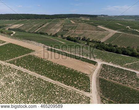 Aerial View On Chablis Grand Cru Appellation Vineyards With Grapes Growing On Limestone And Marl Soi