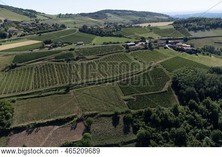 Landscape With Vineyards Near Beaujolais Wine Making Village Val D'oingt, Gateway To Beaujolais Wine