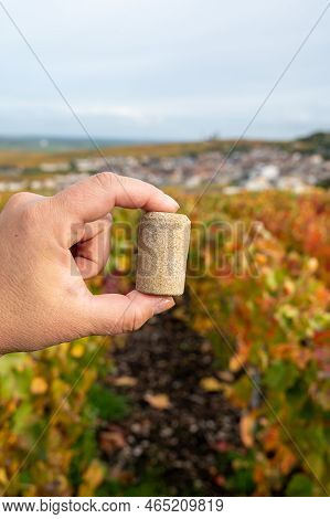 Unused Champagne Cork And Autumn View On Colorful Grand Cru Champagne Vineyards Near Moulin De Verze