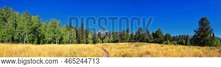 Bear Canyon Hiking Trail Views By Mount Timpanogos Peak Wasatch Range, Utah. Usa.