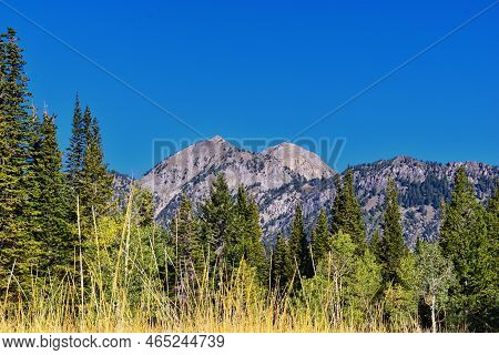 Bear Canyon Hiking Trail Views By Mount Timpanogos Peak Wasatch Range, Utah. Usa.