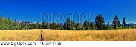 Bear Canyon Hiking Trail Views By Mount Timpanogos Peak Wasatch Range, Utah. Usa.