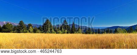 Bear Canyon Hiking Trail Views By Mount Timpanogos Peak Wasatch Range, Utah. Usa.
