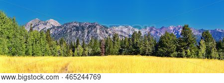 Bear Canyon Hiking Trail Views By Mount Timpanogos Peak Wasatch Range, Utah. Usa.