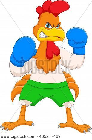 Cute Chicken Boxing Cartoon On White Background