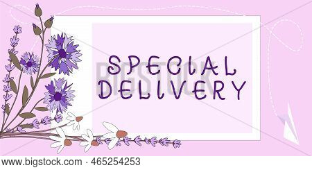 Sign Displaying Special Delivery. Internet Concept Delivery Of A Letter Or Package Quicker And More 