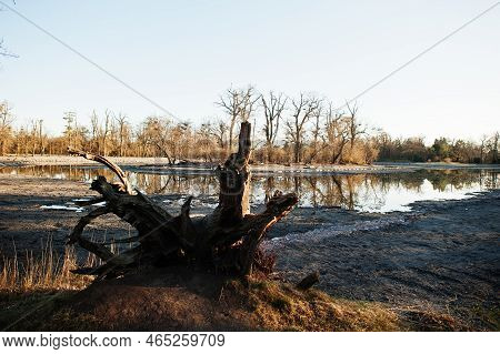 Dry Cracked Soil On The Drying Up Watering Place On Lednice In South Moravia, Czech Republic, Europe