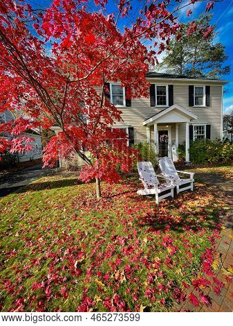 Colorful Red Maple Leaves In Front Of Upscale Two Story House With Double White Adirondack Chairs An