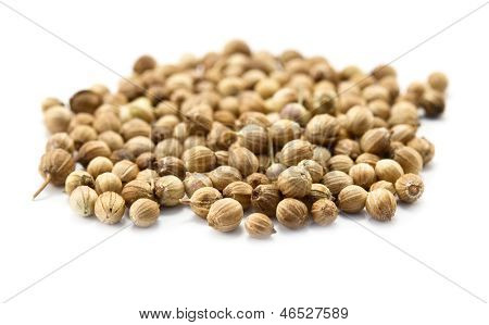 Coriandr