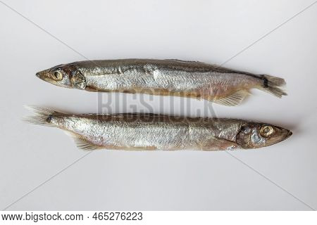 Two Small Capelin Fish Isolated On White Background. Top View Photo.