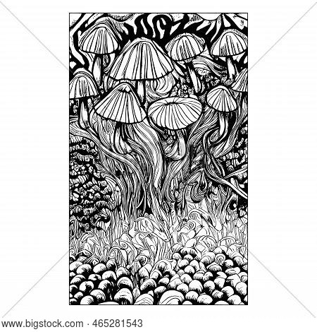 Mushrooms Vector Illustration Drawn By Hand, Family Of Inedible Mushrooms Dangerous Mushrooms, Toads