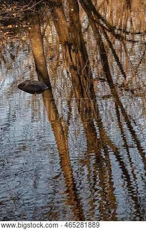 Water Movement And Reflections Patterns Dominate The Surface Of Hickory Creek On An Early Morning In