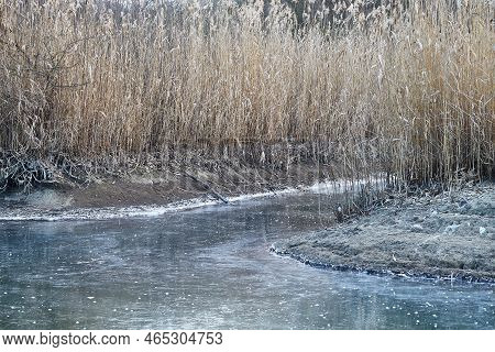 Frozen Lake Tisza Canals With Ice And Reed, Winter Frost