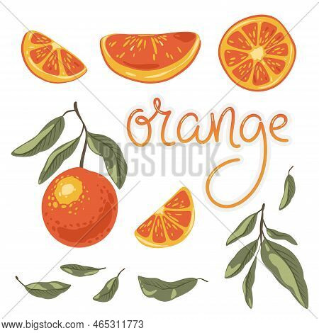 Cartoon Set Of Orange Fruit, Branch. Citrus Fruit