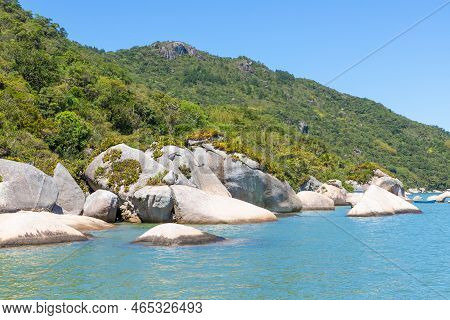 Forest And Rocks In The Beach