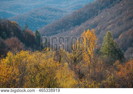 Colorful Autumn Foliage Parco Nazionale Abruzzo Italy. Landscape
