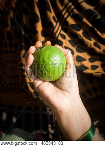 Closeup Of Women Holding Green Guava In Hyderabad, Telangana, India